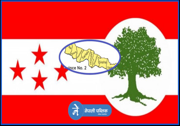 नेपाली काँग्रेस प्रदेश २ को अधिवेशन स्थागित